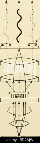 . La cytologie. La cytologie. Ray recombinée (interférence destructive) plaque de diffraction condenseur Objectif diaphragme annulaire. Retarder la phase 1 Matériel 1 ' i i * &gt;â¢â â ' ( f 4 t â &Lt ; &Lt ; ) ) ) t Microscope Figure 11-13. Schéma montrant le principe de la phase Microscopie. dévié et undeviated lumière émergeront de la plaque de diffraction en phase et se recombiner pour donner une luminosité (inter- ference constructif) de l'objet (Figure 11-14 (b)). La microscopie en contraste de phase peut être utilisé pour mesurer l'indice de réfraction et la concentration de solides structures de cellules en utilisant la rencontré Banque D'Images