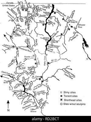 . (Cottus) distribution dans le forêt nationale de Kootenai et l'ouest de la Forêt Nationale de Lolo Montana . Les chabots ; populations de poissons ; les populations de poissons. .--Canada.. United States. " 11 sites visqueux 13 sites de Torrent M£ sites rouge 0 Sites w/out chabots Figure 2 : Répartition des les chabots visqueux, torrent les chabots et chabots à tête courte dans le bassin hydrographique de la rivière Kootenai et inférieure du bassin versant de la rivière Clark Fork dans la forêt nationale de Kootenai.. Veuillez noter que ces images sont extraites de la page numérisée des images qui peuvent avoir été retouchées numériquement pour plus de lisibilité - une coloration Banque D'Images