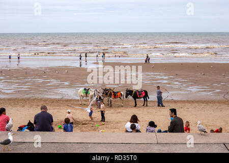 Des ânes sur la plage pour les clients en attente à Blackpool Lancashire UK Banque D'Images