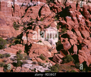 USA, Utah, Arches National Park, fournaise ardente salon avec palmes composé de brown Entrada Sandstone sous une couche de grès Navajo plus léger. Banque D'Images