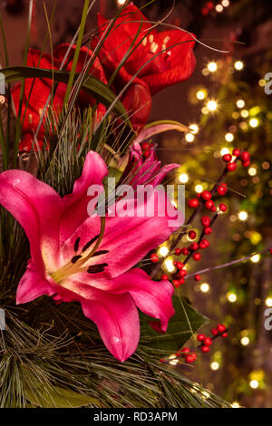 Libre de droit d'un bouquet de lys rose (Lilium), des branches de houx (Ilex) avec des petits fruits rouges et d'Amaryllis rouge (Amaryllidaceae). Esprit d'arrière-plan Banque D'Images