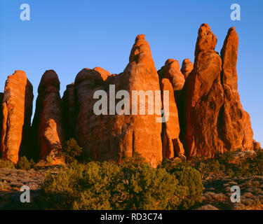 USA, Utah, Arches National Park, lumière du soir sur des ailerons de Entrada Sandstone ; près de Devils Garden. Banque D'Images