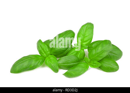 Fresh basil isolated on white Banque D'Images