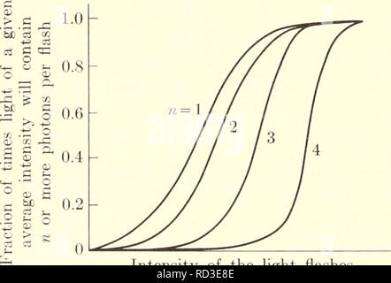 . Biophysique élémentaires : les thèmes choisis. La biophysique. Intensité intensité seuil /  Fig. 17. Une représentation schématique de la fréquence avec laquelle un flash de chaque intensité est considérée, pour deux modèles. Le modèle simple suppose que chaque flash a le même nombre de photons. La fluctuation modèle prend en compte le fait qu'un nombre moyen de photons (tracés sur l'abscisse) aura une fluctuation du nombre de photons dans chaque flash, pour des raisons expérimentales.. L'intensité de la lumière clignote (sur une échelle logarithmique) Fig. Est. Les courbes calculées de la fraction de fois une lumière Banque D'Images