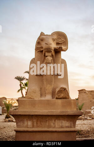 Sphinx à tête Ram Temple de Karnak en Afrique Banque D'Images