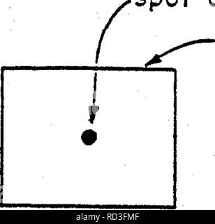 . Repos végétatif, hydrochimiques et microbiologiques des effets d'un parc naturel et un milieu humide artificiel sur le contrôle du drainage minier acide . Mine Drainage ; drainage minier acide ; les zones humides. 5.1.2 Tracer un retard de flux et des traceurs traceurs de dilution ne sont pas parfaitement conservateur et la concentration de la distribution d'une substance soluble dans l'eau qui est transporté dans un milieu poreux par les eaux souterraines sont touchées par sorption, diffusion moléculaire et de la dispersion hydrodynamique (Gustafsson et Klockars 1981). L'adsorption et l'absorption de sorption comprend les processus. Les nombreux processus chimiques qui contribuent à dors Banque D'Images