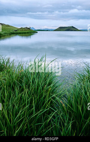 Le lac Myvatn un lac eutrophe peu profond et le séjour se déroulera située dans une zone de volcanisme actif dans le nord de l'Islande, Banque D'Images