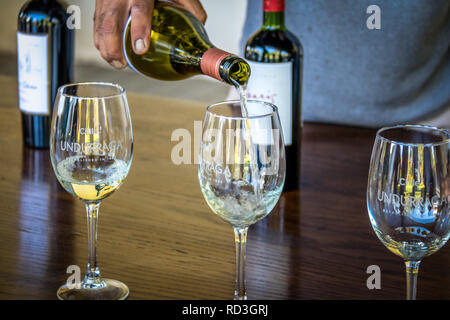 Verre de vin au vignoble Undurraga - Santiago, Chili Banque D'Images