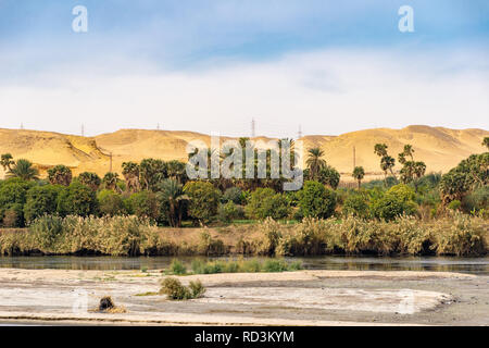 Palmiers et de verdure sur les rives du Nil en Egypte Banque D'Images