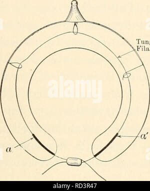 . Microscopie chimique élémentaire. La microchimie, microscopie. Filament de tungstène Fig, 12. Lampe utilisée dans l'Illuminateur Argent- man. Fig. ii. Le collier pour la tenue d'Illuminateur Silverman objectifs ci-dessous lorsqu'il est utilisé avec les microscopes binoculaires type Greenough. par le côté, mais avec des puissances plus élevées ou avec l'illuminateur et abaissé l'allumage devient de plus en plus oblique. L'étudiant doit toujours se rappeler qu'un changement d'un grossissement à l'autre afin de mieux résoudre un objet est également accompagnée d'un changement correspondant dans la nature de l'illumination qui de la nécessité doit pr Banque D'Images