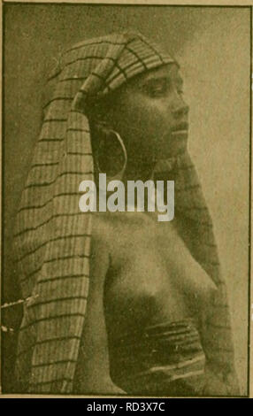 . Das Leben der Pflanze. Les plantes ; plantes ; plantes ; phytogéographie. M]RMSSENS(H/s. Veuillez noter que ces images sont extraites de la page numérisée des images qui peuvent avoir été retouchées numériquement pour plus de lisibilité - coloration et l'aspect de ces illustrations ne peut pas parfaitement ressembler à l'œuvre originale.. Francé, R. H. (Raoul Heinrich), 1874-1943 ; Gothan, Walther Ulrich Eduard Friedrich, 1879-1954 ; Lange, Willy, 1864-. Stuttgart, Kosmos, Gesellschaft der Naturfreunde Banque D'Images