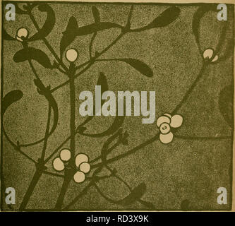 . Das Leben der Pflanze. Les plantes ; plantes ; plantes ; phytogéographie. 41. Lieferung 9es Gesamfroerhes (Leben 9. Pflanze). 15. Lieferung 9er.Slorisf Lebensbilöer. m 1-  = K 1,20 h ö. m R.FJ.FRHnCE PFLHnZE DER LEBER DHS. Ömeite Rbtellung orisfische ^( : Lebensbilder Nous ersfe Rbfeilung ^ Pflanjenleben Deufschlanfls (Das) umfassf 26 Lieferungen ä m 1-  = K 1,20 h ö. JIoeKe flbteiluna IB, Die flEInri^^ti rho hohon"h)lrlprl iinifflS&Lt ;;f Stuffgarf öesellsrfiaff Kosmos, 9er naturfreunde. Veuillez noter que ces images sont extraites de la page numérisée des images qui peuvent avoir été retouchées numériquement pour plus de lisibilité Banque D'Images