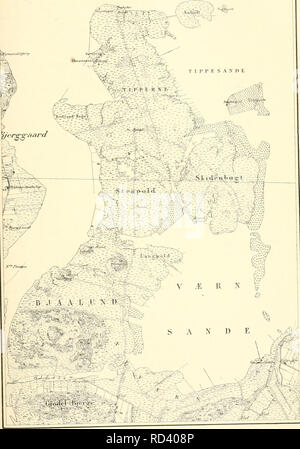 . Dansk ornithologisk forenings tidsskrift. Les oiseaux ; les oiseaux. 14*. Veuillez noter que ces images sont extraites de la page numérisée des images qui peuvent avoir été retouchées numériquement pour plus de lisibilité - coloration et l'aspect de ces illustrations ne peut pas parfaitement ressembler à l'œuvre originale.. Dansk ornithologisk forening. [Paris 02] : Den Forening Banque D'Images