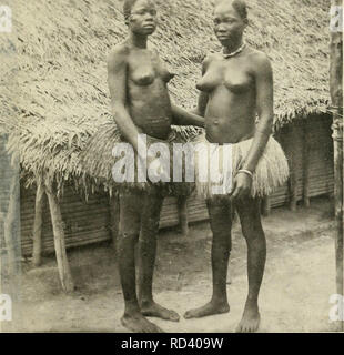 . Dans la grande forêt de l'Afrique centrale. Mon voyage au Congo et à la Mongala en 1896. La botanique. PL 34.  %. Femmes bangala de Nouvelle-Anvers. II.. Veuillez noter que ces images sont extraites de la page numérisée des images qui peuvent avoir été retouchées numériquement pour plus de lisibilité - coloration et l'aspect de ces illustrations ne peut pas parfaitement ressembler à l'œuvre originale.. Thonner, Franz, 1863- ; L'Huillier, Henriette. Bruxelles : Société belge de librairie Banque D'Images
