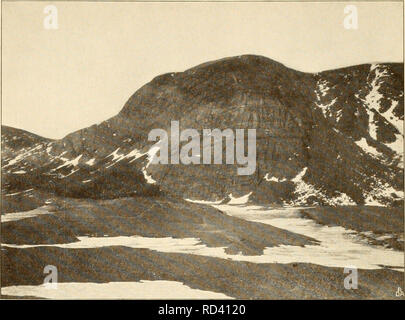 . Dansk ornithologisk forenings tidsskrift. Les oiseaux ; les oiseaux. AARG C. TAVLP : VI. {BHAMGAASENS IIEH LEVCOPSIS.XICI.A] YNGLEPLADS.. Veuillez noter que ces images sont extraites de la page numérisée des images qui peuvent avoir été retouchées numériquement pour plus de lisibilité - coloration et l'aspect de ces illustrations ne peut pas parfaitement ressembler à l'œuvre originale.. Dansk ornithologisk forening. [Paris 02] : Den Forening Banque D'Images