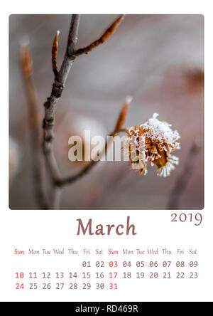 A4 version 2019 Calendrier - Mois de Mars. Nature, calendrier minimaliste. Banque D'Images