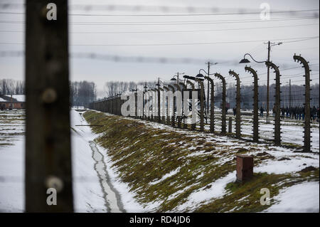 Oswiecim, Pologne. 16 janvier, 2019. Une vue générale de la clôture de l'ancien allemand nazi -Birkenau camp mort.La Journée du souvenir de l'Holocauste aura lieu le 27 janvier, où les survivants sera présent à la 74e anniversaire de la libération d'Auschwitz de célébrations. Credit : Omar Marques/SOPA Images/ZUMA/Alamy Fil Live News Banque D'Images