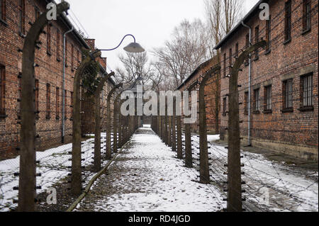 Oswiecim, Pologne. 16 janvier, 2019. Une vue de clôtures à l'ancien camp de la mort nazi d'Auschwitz-Birkenau allemand.La Journée du souvenir de l'Holocauste aura lieu le 27 janvier, où les survivants sera présent à la 74e anniversaire de la libération d'Auschwitz de célébrations. Credit : Omar Marques/SOPA Images/ZUMA/Alamy Fil Live News Banque D'Images