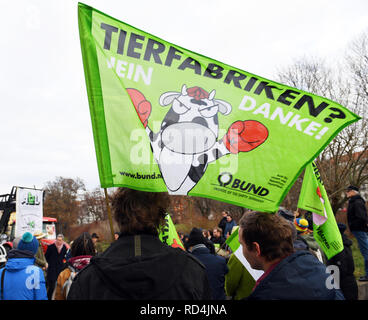 Erfurt, Allemagne. 17 Jan, 2019. Les agriculteurs de Thuringe manifestation devant le parlement de Thuringe contre la vente de terres à des investisseurs. Ils prennent également part à une manifestation le 19 janvier à Berlin. Crédit : Martin Schutt/dpa-Zentralbild/dpa/Alamy Live News Banque D'Images