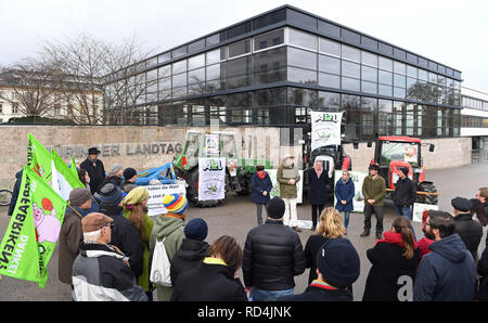 Erfurt, Allemagne. 17 Jan, 2019. Les agriculteurs de Thuringe manifestation devant le parlement de Thuringe contre la vente de terres à des investisseurs. Ils prennent également part à une manifestation le 19 janvier à Berlin. Crédit : Martin Schutt/dpa-Zentralbild/dpa/Alamy Live News Banque D'Images