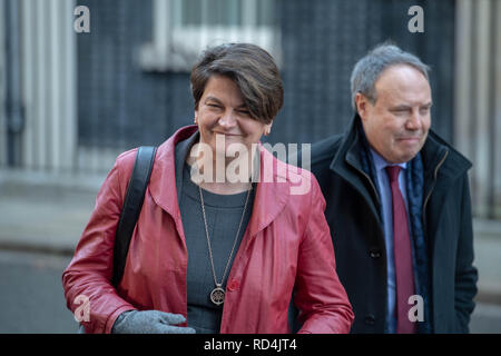 17thJanuary Londres 2019, Arlene Foster et Nigell Dodds du RPD laisser 10 Downing Street, à la suite d'une réunion avec Theresa peut MP PC, Premier ministre sur Brexit Crédit Londres Ian Davidson/Alamy Live News Banque D'Images