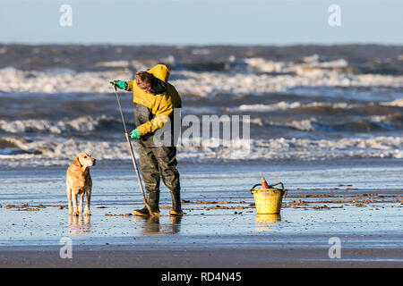 Blackpool, Lancashire, Royaume-Uni. 17 janvier 2019. Météo France : la mer pêcheur appâts. Un pêcheur de la mer tire parti de l'eau faible comme il l'appâts pour lugworm dans la belle après-midi à travers le vitrage soleil plage de Blackpool, dans le Lancashire. Credit : Cernan Elias/Alamy Live News Banque D'Images