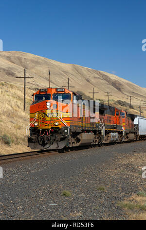 BNSF train dans Avery State Recreation Area Banque D'Images