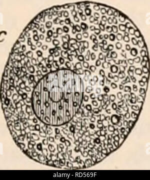 . La cyclopaedia d'anatomie et physiologie. Anatomie ; physiologie ; Zoologie. . Veuillez noter que ces images sont extraites de la page numérisée des images qui peuvent avoir été retouchées numériquement pour plus de lisibilité - coloration et l'aspect de ces illustrations ne peut pas parfaitement ressembler à l'œuvre originale.. Todd, Robert Bentley, 1809-1860. Londres, Sherwood, Gilbert, et Piper