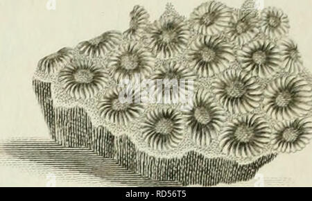 . La cyclopaedia ; ou, dictionnaire universel des sciences, des arts et de la littérature. Les plaques. Encyclopédies et dictionnaires. . Veuillez noter que ces images sont extraites de la page numérisée des images qui peuvent avoir été retouchées numériquement pour plus de lisibilité - coloration et l'aspect de ces illustrations ne peut pas parfaitement ressembler à l'œuvre originale.. Rees, Abraham, 1743-1825. London, Longman, Hurst, Rees, Orme &AMP ; Brown Banque D'Images