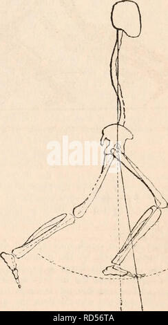 . La cyclopaedia d'anatomie et physiologie. Anatomie ; physiologie ; Zoologie. . Veuillez noter que ces images sont extraites de la page numérisée des images qui peuvent avoir été retouchées numériquement pour plus de lisibilité - coloration et l'aspect de ces illustrations ne peut pas parfaitement ressembler à l'œuvre originale.. Todd, Robert Bentley, 1809-1860. Londres, Sherwood, Gilbert, et Piper Banque D'Images