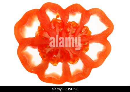 Oxheart tomate (Solanum lycopersicum), tranche Banque D'Images