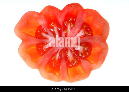 Oxheart tomate (Solanum lycopersicum), section transversale Banque D'Images