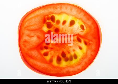 Tomate cerise ou cocktail tomate (Solanum lycopersicum), section transversale Banque D'Images