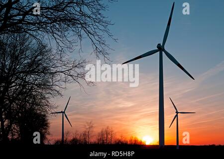 Les éoliennes près de Suelbeck, Lunebourg, Basse-Saxe Banque D'Images