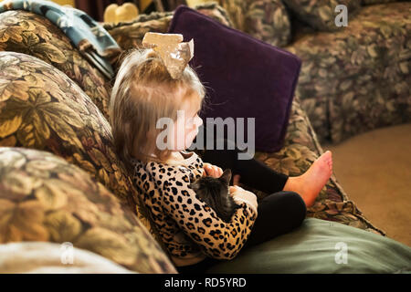 Un enfant de trois ans Caucasian girl cuddles un chaton, assis sur un canapé. USA. Banque D'Images