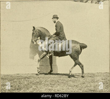 . Trottoir, snaffle et stimuler : une méthode de formation de jeunes chevaux pour la cavalerie, et pour une utilisation générale sous la selle. Horsemanship ; Chevaux ; CHR 1894 ; PRO Pearson, Leonard (ex-libris) (donateur) ; PRO Carpenter (manuscrit). Sur les chemins d'Tzvo, 6j'ai l'travcrs. Quand la croupe suit le chemin de la plus grande circonférence à la tourne et les changements de direction, nous avons la renvers ; c'est, dans l'équitation chambre, "la tête à l'. Mur de travers." à deux voies est travers, " la croupe au mur" est renvers. Pour enseigner la circulation sur deux voies, dire à droite, e Banque D'Images