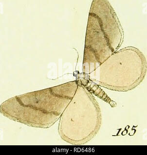 . L'HuÌbner geometra [ressource électronique]. Lépidoptères. James Cook. -Y&gt ;. -ISj. cJrwriazria. jS2. Â±^)j'/o&amp;ar/a. JzPrvycmmaraz interorganismes.â- jSJ. e (uranttaruz. E^Tccraruz JgS. â 35. 'Ysv. Si. /Â zkXfir. ^ f*. ^f/-&gt ; ^&gt ; j ? ? Â 20- *â ? Â",' 4 ?. r ^ / ?Â£2 ? Y- *â€r.. Veuillez noter que ces images sont extraites de la page numérisée des images qui peuvent avoir été retouchées numériquement pour plus de lisibilité - coloration et l'aspect de ces illustrations ne peut pas parfaitement ressembler à l'œuvre originale.. HuÌbner, Jacob, 1761-1826. [S. l.  : S. n. ] Banque D'Images