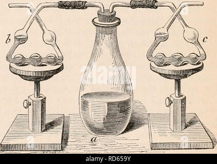 . La cyclopaedia d'anatomie et physiologie. Anatomie ; physiologie ; Zoologie. Ovule. production ual ; le second comme relevant de la catégorie de génération de rechange ; et l'embryon de la Vorticella Acineta-fonn soit réitère sa geninial, multiplication ou devient, enkystées et donnent lieu ensuite par sa division production nucléaire pour le développement embryonnaire. D'autres nouvelles formes d'Infusoria sont décrites par Stein Spirochona gemmipara sous les noms, Dendrocometes Lngeno paradoxus, et- phrys vaginicola, ampoule, et nassa, dont le mode de reproduction est quelque peu similaire. Ces observations montrent à la fois l'i Banque D'Images