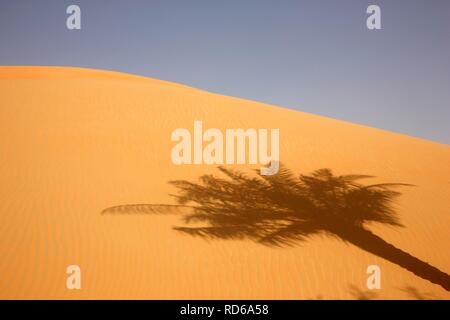 Dunes de sable rouge, qui peut obtenir plus de 200 mètres de haut, dans le désert Rub'al-Khali ou quart vide, Abu Dhabi, Émirats Arabes Unis Banque D'Images