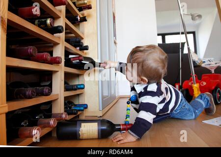 Petit garçon, bébé, 10 mois, à la découverte d'un appartement, la dépose des bouteilles de vin à partir de support de vin Banque D'Images