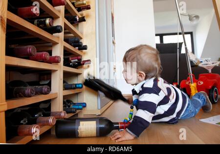 Petit garçon, bébé, 10 mois, à la découverte d'un appartement, la dépose des bouteilles de vin à partir de support de vin Banque D'Images