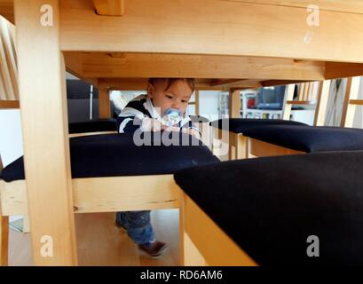 Petit garçon, bébé, 10 mois, debout entre les chaises sous une table Banque D'Images