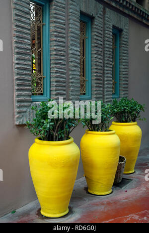 3 pots jaune vif dans le Jardin Majorelle, Marrakech, Maroc Banque D'Images