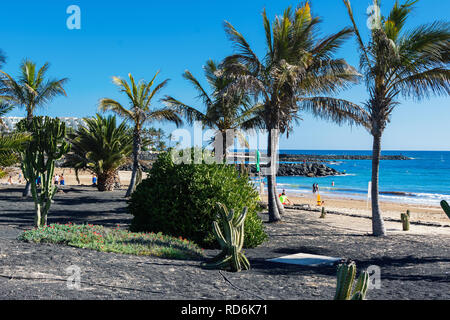 Plage de sable doré de Las Cucharas, Lanzarote, îles Canaries. Vue sur la mer, côte, palmiers, selective focus Banque D'Images