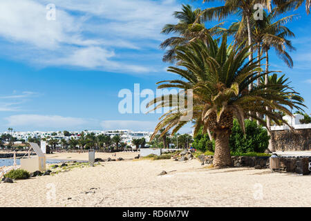 Plage de sable doré de Las Cucharas, Lanzarote, îles Canaries. Vue sur la mer, côte, palmiers, selective focus Banque D'Images