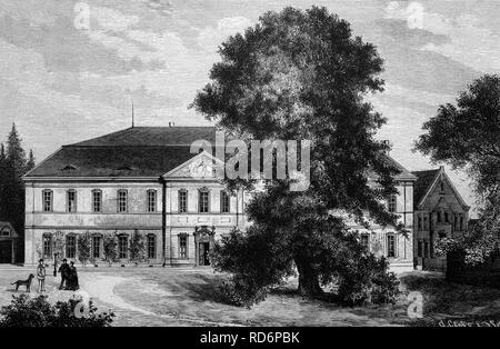 Schloss Schoenhausen Château avec l'arbre préféré du Prince Bismarck, Berlin, illustration historique, vers 1886 Banque D'Images