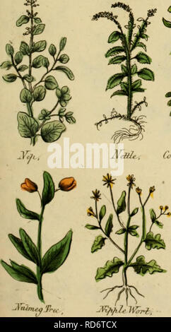 . Le médecin anglais ; Culpepper et complet à base de plantes. La botanique, Médical, Materia Medica, de légumes ; Materia Medica, la botanique, les plantes médicinales,. Aiclx : Arbre-, ComlMvJhroam. Veuillez noter que ces images sont extraites de la page numérisée des images qui peuvent avoir été retouchées numériquement pour plus de lisibilité - coloration et l'aspect de ces illustrations ne peut pas parfaitement ressembler à l'œuvre originale.. Culpeper, Nicholas, 1616-1654 ; Sibley, Ebenezer, 1751-1800. Londres : Imprimé pour l'auteur, et vendu à l'Office d'annuaire britannique Banque D'Images