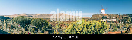 Vue panoramique de l'emplacement de touristes populaire jardin de cactus (jardin de cactus) en Guatiza, Lanzarote, Canaries, Las Palmas, Espagne Banque D'Images