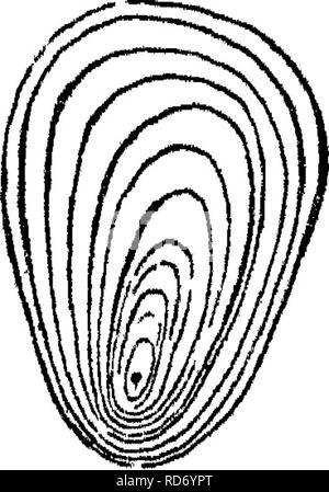 . Principes de l'anatomie et la physiologie de la cellule végétale. Les cellules et les tissus des végétaux. La cellule végétale. 45 Par Fritzsche dans » Poggend, Ann." PARTIE 32 ; de Payen dans ''MEM. Develojypements Vcgetaux sur les des^'" et de Schleiden dans son Grundzhge ». !') Les grains d'amidon de forme différente d'accord dans le fait qu'ils ne sont pas composés d'un uni- ^^» ^^•- iJ forment la masse, cabane de couches superposées d'une densité, d'où ils tirent une jolie apparence avec la lumière polarisée, chaque granule présentant une croix de couleur. Ces couches sont généralement beaucoup plus épais sur un sid Banque D'Images