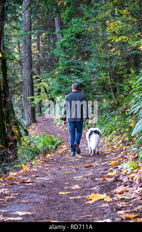 Un jeune homme se promène avec son animal de compagnie, un chien à poil long, flâner le long d'un chemin dans une forêt sauvage recouverte de feuilles d'automne jaunies, appréciant l'odeur de Banque D'Images